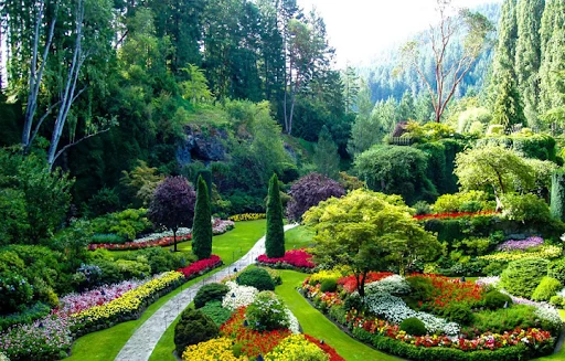 باغ گیاه‌شناسی باتومی (Batumi Botanical Garden)