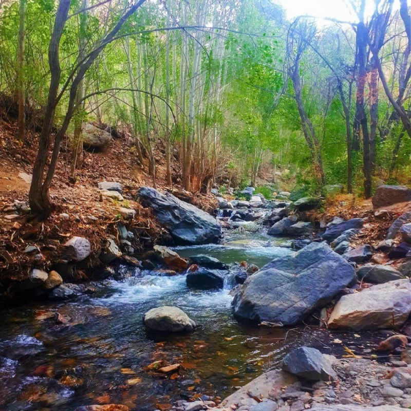 بوژان-نیشابور